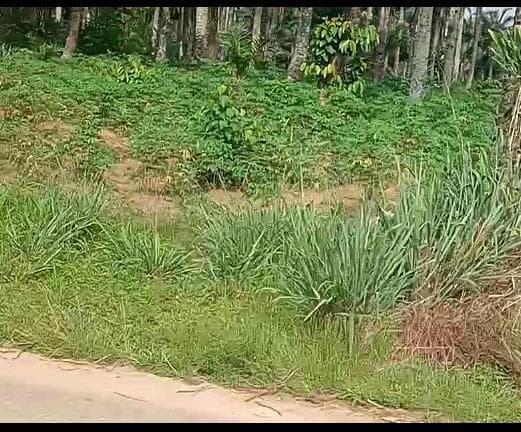 Land at Lagos